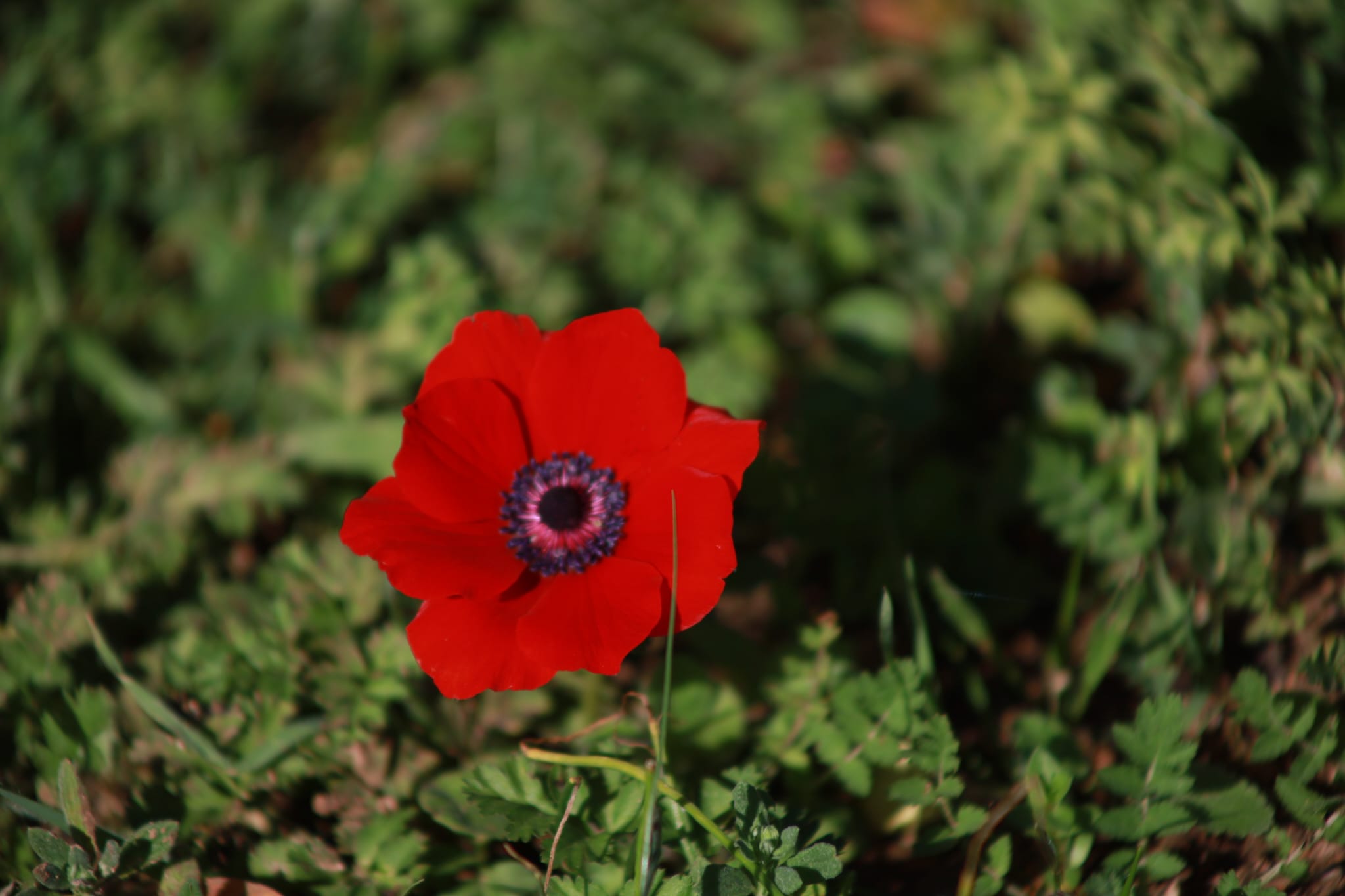 There's another dimension to skin health that I wanted to address: